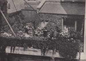 Un giardino sul tetto