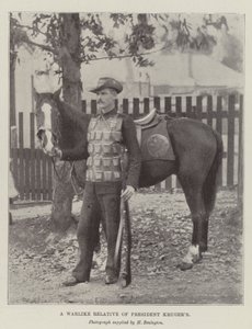 Un parente bellicoso del presidente Kruger da English Photographer