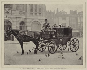 Un vetturino amante degli animali, Una scena recentemente fotografata a Kingston-on-Thames da English Photographer