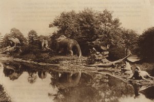 Animali Antediluviani da English Photographer