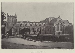 Cattedrale di Bangor da English Photographer