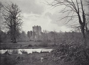 Castello di Blarney da English Photographer