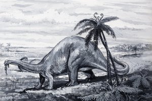 Brontosauro