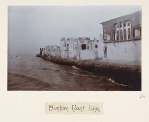 Costa di Bushire, da 