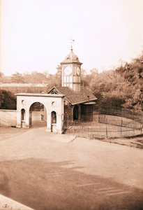 Casa dei Cammelli, Zoo di Londra da English Photographer