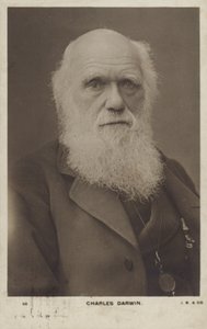 Charles Darwin (1809-1882), naturalista inglese da English Photographer