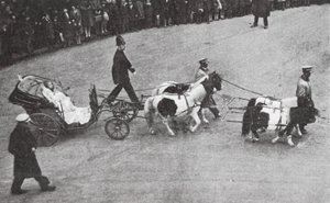 La carrozza di Cenerentola, Lord Mayor