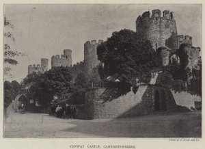 Castello di Conway, Carnarvonshire da English Photographer