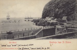 Navi Coolie Erne e Elbe, Sant