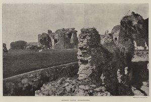 Castello di Denbigh, Denbighshire