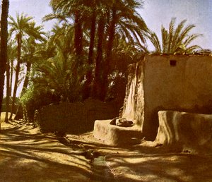 Egitto - Karnak da English Photographer