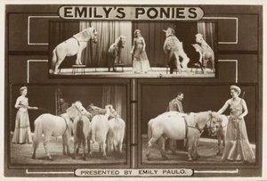 Emily Paulo e i suoi pony addestrati (foto) da English Photographer