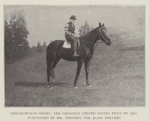 Endurance-by-Right, la più grande puledra degli Stati Uniti del 1901, acquistata dal signor Whitney per 40.000 dollari da English Photographer