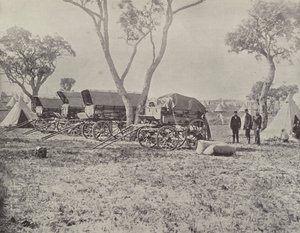 Campo degli ingegneri, Langwarrin, Victoria da English Photographer