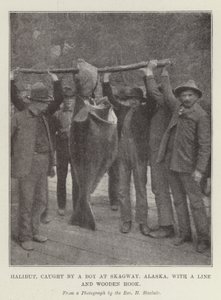 Halibut, catturato da un ragazzo a Skagway, Alaska, con una lenza e un amo di legno