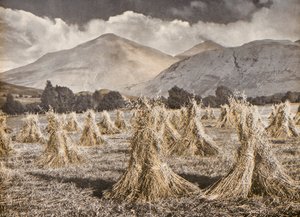 Raccolto a Strathfillan sotto Ben More e Stobinian da English Photographer