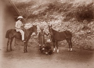 Cavalli a Simla, Queen Mab e Gladys da English Photographer