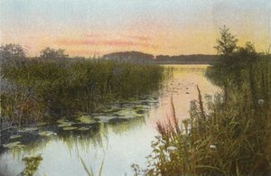 Hoveton Broad da English Photographer
