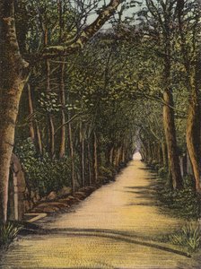 Jersey: Vinchelez Lane da English Photographer