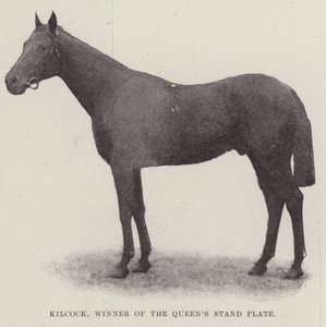 Kilcock, vincitore della Queens Stand Plate da English Photographer