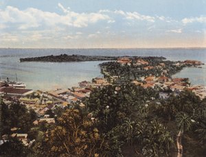 Kingston, Giamaica: Vista a volo d