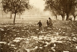 Erba disseminata di rifiuti su Hampstead Heath il giorno dopo una festa nazionale, da Wonderful London, pubblicato 1926-27 da English Photographer