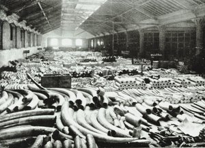 Docks di Londra: magazzino dell