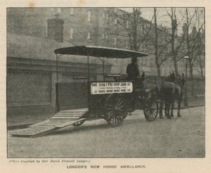 La nuova ambulanza a cavallo di Londra da English Photographer