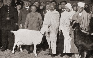 Mahatma Gandhi arriva a Londra, Inghilterra nel 1931 con il suo discepolo, Madeleine Slade, e le sue due capre, da La storia di venticinque anni, pubblicato nel 1935 da English Photographer
