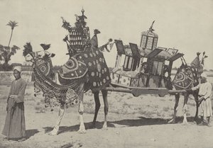 Cerimonia di matrimonio al Cairo da English Photographer