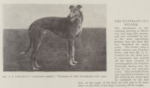 Il Farndon Ferry di Mr G F Fawcett, vincitore della Waterloo Cup, 1902