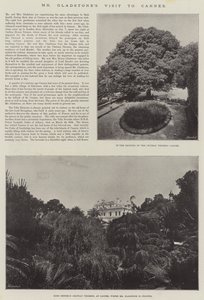La visita di Mr Gladstone a Cannes