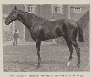 Il merman di Mr Jersey, vincitore della Gold Cup ad Ascot