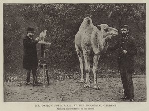 Mr Onslow Ford, ARA, ai Giardini Zoologici da English Photographer