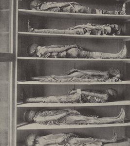 Mummie di sacerdoti, i corpi dei sacerdoti imbalsamati prima che Aronne e i suoi figli fossero nominati da English Photographer