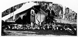 I miei trofei di caccia indiani, c.1870 da English Photographer