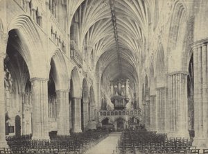 Navata della Cattedrale di Exeter, Devon