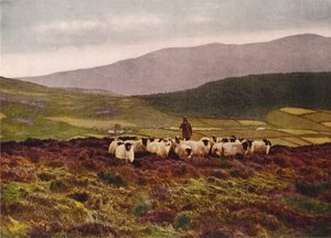 Sulle montagne di Mourne, nella contea di Down (foto a colori)