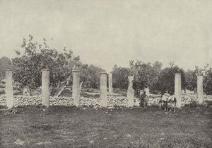 Palazzo di Erode, Samaria, i resti del palazzo, costruito da Erode in onore di Augusto da English Photographer