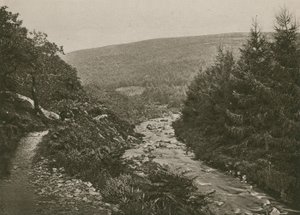 Sentiero presso Bagworthy Water, Doone Valley da English Photographer