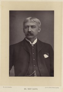 Ritratto di Bret Harte