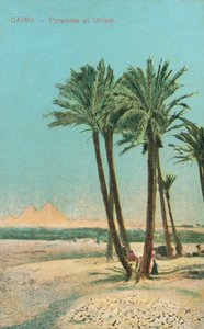 Piramidi di Giza, Egitto da English Photographer