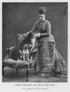 Regina Alessandra e due dei suoi cani da English Photographer