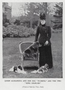 Regina Alessandra con il suo cane, Plumpie, e i suoi due spaniel King Charles da English Photographer