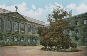 Queens College da English Photographer
