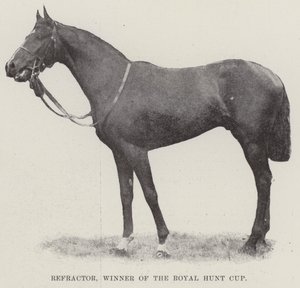 Refractor, vincitore della Royal Hunt Cup
