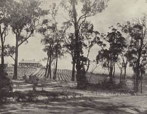 Scena sulla strada di Gembrook, Victoria da English Photographer