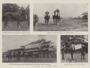 Scene ad Ascot, 1901 da English Photographer