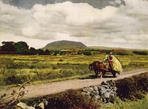 Slemish, Contea di Antrim (foto a colori) da English Photographer