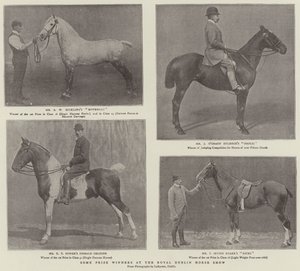 Alcuni vincitori di premi al Royal Dublin Horse Show da English Photographer